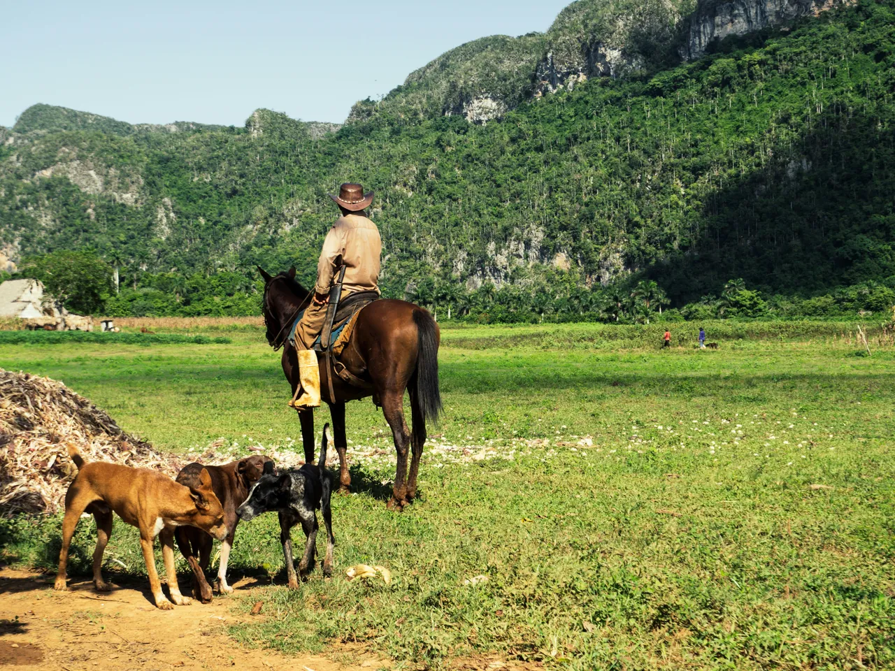 Farmer on his horse in the country side. Photo by Flo