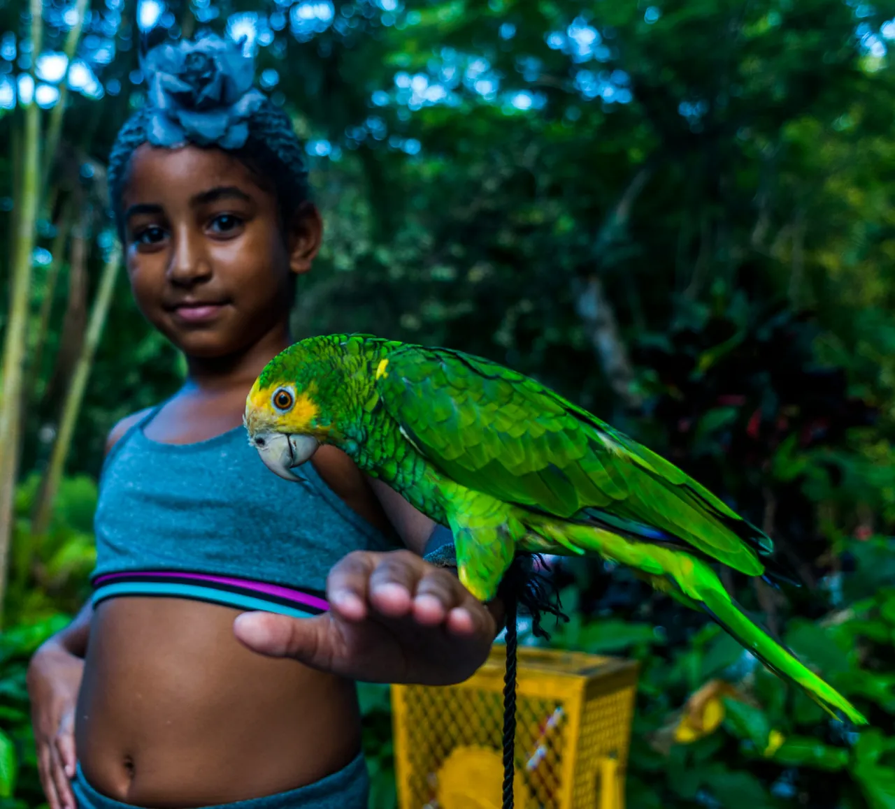 Image of of a girl holding a parrot. Photo by Ricardo IV Tamayo